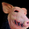 Saw pig horror mask Deluxe version - Halloween