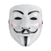 V for Vendetta Anonymous movie hacker mask