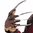 Freddy Krueger glove - Nightmare on elm st - Was £50