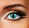 green cat contact lenses - Pair of lenses for Cat or wolf