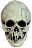 Skull black and white horror mask Trick or Treat studios