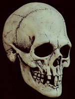 Skeleton Skull Masks