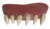 Horror teeth - Dentures / fangs
