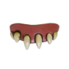 Horror teeth - Dentures / fangs