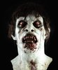 CELLAR DWELLER Deluxe zombie latex movie mask - HD Studios