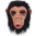Latex Tiermaske Affe Schimpanse
